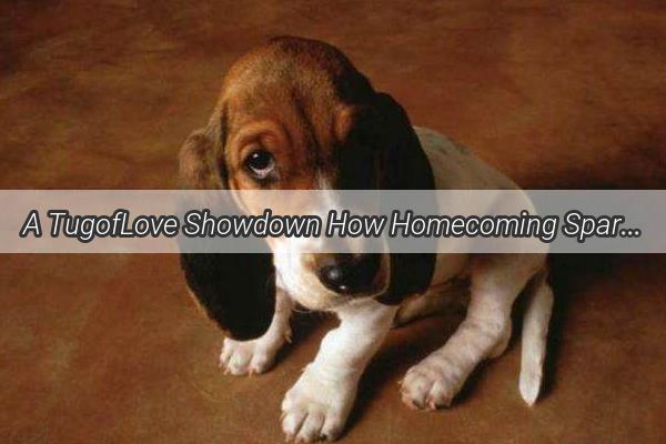 A TugofLove Showdown How Homecoming Sparked a Furry Feud